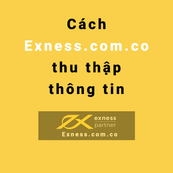 Cách Exness.com.co thu thập thông tin