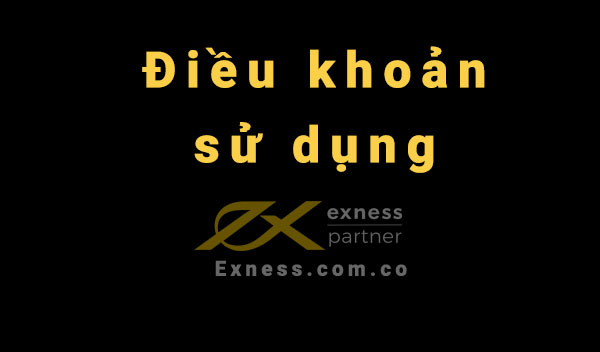 Điều khoản sử dụng tại Exness.com.co