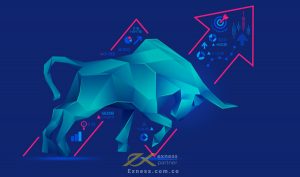 Bullish là gì