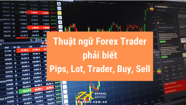 Các thuật ngữ trong Forex phổ biến hiện nay