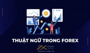 Các thuật ngữ trong Forex