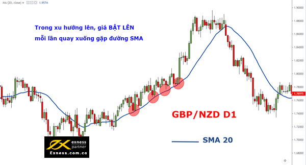 SMA 20 với cặp tỷ giá GBP/NZD trên khung D1