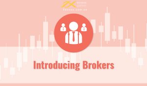 Introducing Broker là gì