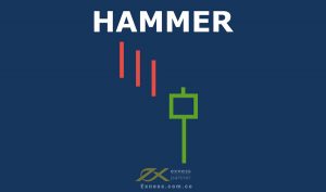 Nến Hammer