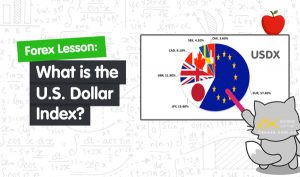 USD Index là gì