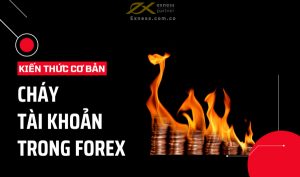cháy tài khoản forex