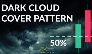 Dark Cloud Cover