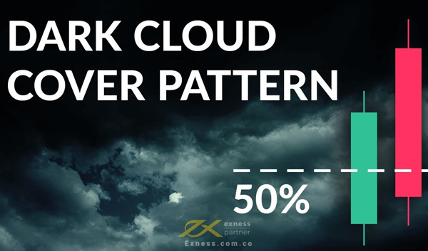 Dark Cloud Cover
