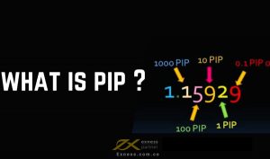 Pip là gì