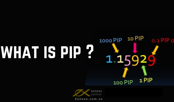Pip là gì