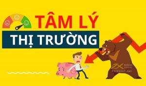 tâm lý thị trường Forex