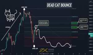 Dead Cat Bounce là gì