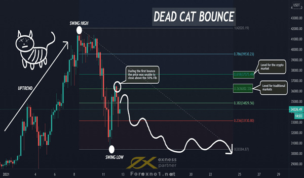 Dead Cat Bounce là gì