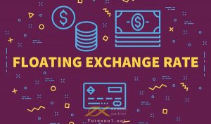 Floating Exchange Rate