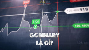 GGBinary là gì