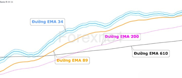 Cấu tạo của Sonic R bao gồm những gì?