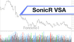 Sonic R là gì