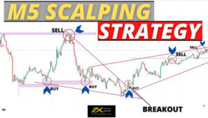 Scalping M5