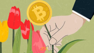 Bong bóng hoa Tulip